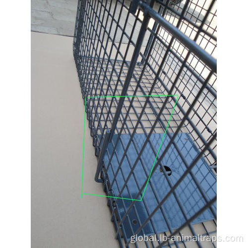 Live Animal Cage Trap Humane Possum Cage Live Animal Safe Catch Supplier